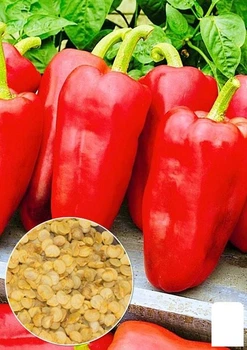 На развес Перец "Орлиный клюв" Agro-Market цена за 1г (51651)