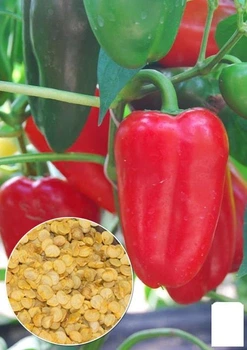 На развес Перец "Красный рог" Agro-Market цена за 1г (51650)