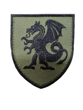 Шевроны щиток Tactic4Profi вышивка "21 ОМБР дракон" фон хаки (8*7)