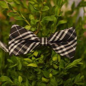 Метелик Bow Tie House Basic стриманий в чорно-білу клітинку 05881