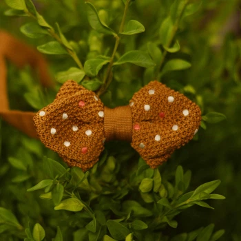 Метелик Bow Tie House Basic в'язаний кутом коричневий горошок 05768