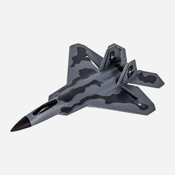 Літак FLEG RC F-22 Raptor (8595142717838)