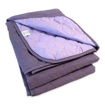 Двустороннее стеганое покрывало Duet 220х240 Violet Микрофибра Евро Фиолетовый