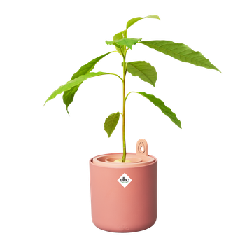 Вазон ELHO Аvocado pot круглий кораловий пластиковий 12 см (519490)
