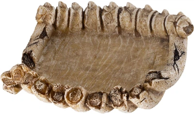 Чаша для тераріуму Reptile Nova Кістки, 14 x 13 x 4 см (REP-DISH-BONES)
