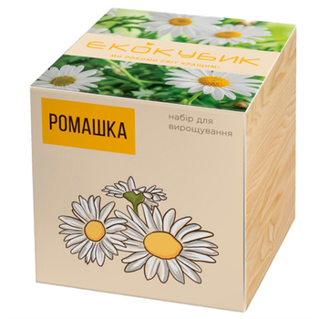 Экокуб Ромашка