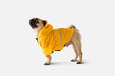 Дождевик с капюшоном для собак Noblepet Moss Yellow, одежда для собак унисекс, M-Short (M4106/M-Short)