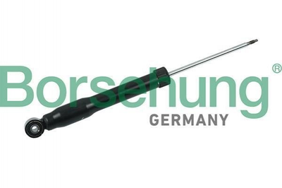 Амортизаторы Borsehung B14719 Volkswagen Tiguan 5N0513049T, 5N0513049G