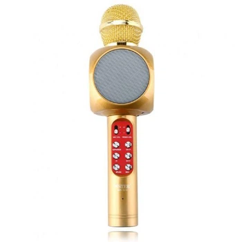 Беспроводной караоке микрофон Wster WS-1816 Gold (2_006557)