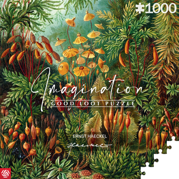 Puzzle Good Loot Imagination Ernst Haeckel Muscinae 1000 elementów (5908305239642)