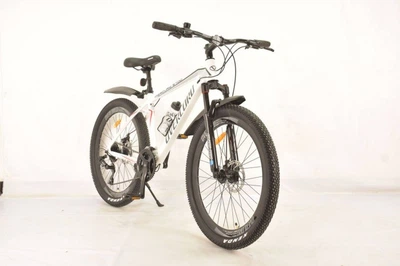 Велосипед Mercury 29" S700 OVERLORD Рама-19" белый