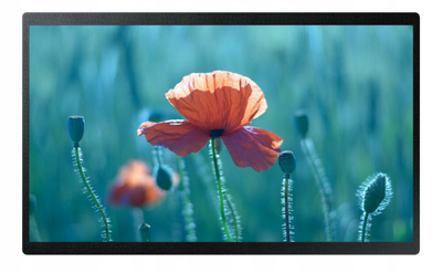 Монітор 24" Samsung QBR-B Full HD Small Display (LH24QBRBBGCXEN)