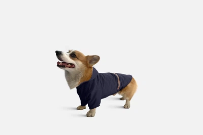 Дождевик с капюшоном для собак Noblepet Moss Blue, одежда для собак унисекс, M-Long (M4106/M-Long-Blue)