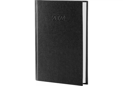 Дневник датированный 2024 Economix Бизнес A5 336 страниц черный (E21610-01)