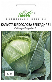 Насіння Капуста Бригадир F1 20 шт (Clause)