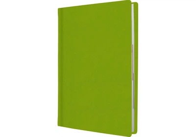 Дневник недатированный Cabinet Square А5 320 страниц фисташковый (O25438-67)