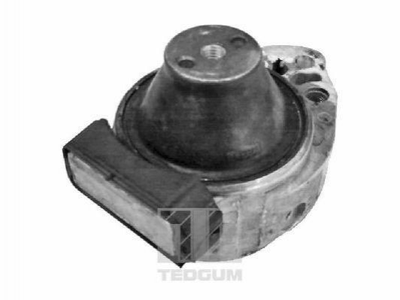 Подушки двигуна TEDGUM 00226428 Ford Fiesta, Fusion 1301965, 2S616F012GC