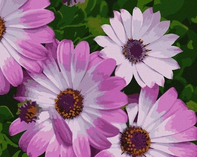 Картина за номерами Art Craft Африканські ромашки 40 х 50 см без коробки