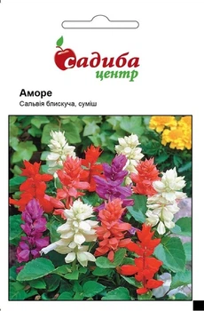 Семена Сальвия Аморе (смесь) Садыба центр 20 шт