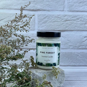 Ароматична соєва свічка Major Gift pine forest