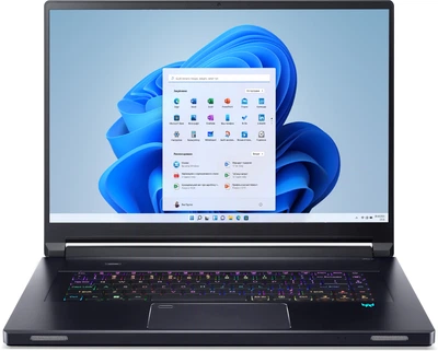 Ноутбук Acer Predator Triton 17X PTX17-71-99W5 (NH.QK3AA.001) Abyssal Black