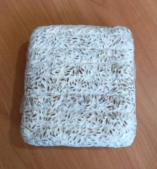 Живий зерновий міцелів грибів КАРАТ-Біо Рейші 1кг