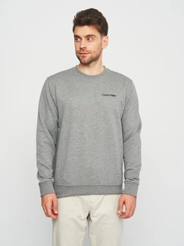 Світшот чоловічий Calvin Klein Jeans 11194. 2 L Сірий