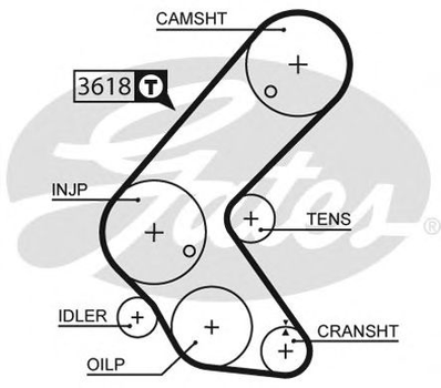 5563XS (8597-15563) Ремінь ГРМ GATES XS Gates (5563XS)