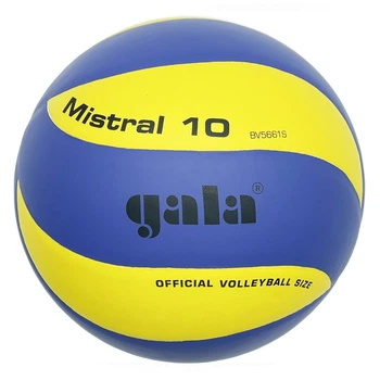 Мяч волейбольный тренировочный Gala Mistral 10 NE-GALA-M10