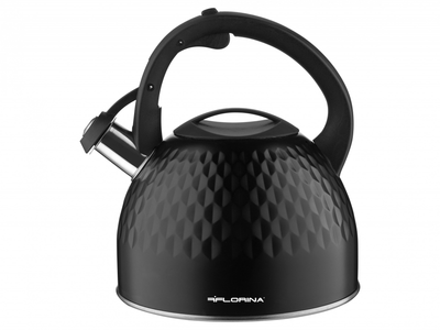 Cuisinart *TEA KETTLE* Model CTK-SS17 2 Quart/1.9L Stainless/Black Handle