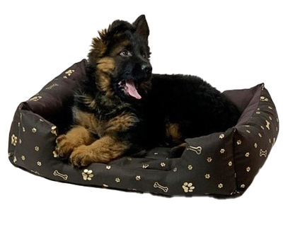 Лежак для собак GoGift Kostka XL 75x55x15 см коричневий (5905359297697)