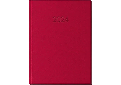 Ежедневник 2024 Economix А5 Клетка E21609-** - Красный