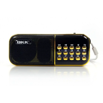 Радиоприёмник с FM USB MicroSD радио на аккумуляторе 18650