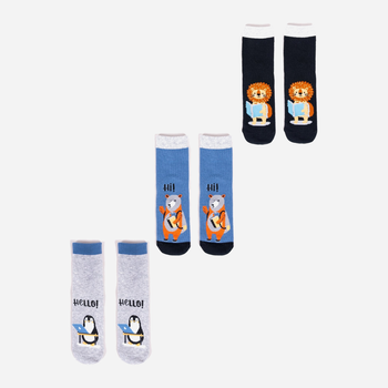 Набір шкарпеток дитячий YOCLUB 3Pack Socks SKA-0038C-AA00 27-30 3 пари Multicolour (5904921600002)