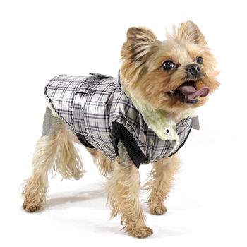 Lucky Pet Жилет Живчик для породы Йорк серый M №1, 28 х 40 см