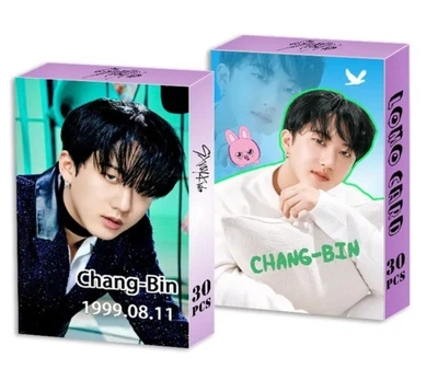 Карточки Stray kids 30 шт чанбин dwaekki двекки стрей кидс к поп k pop lomo свинка бродячие дети арт 1