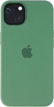 Панель Apple MagSafe Silicone Case для Apple iPhone 13 Green (194252780800)