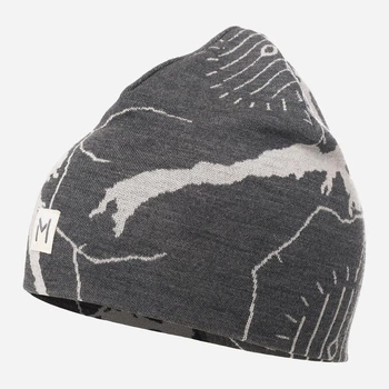 Термошапка спортивная шерстяная Aclima Lars Monsen Femunden Beanie M Dark (7034041099832)