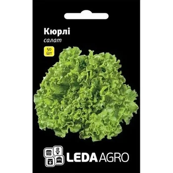 Насіння салату Кюрлі тип Батавія 50 шт LedaAgro