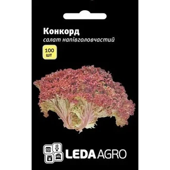 Насіння салату Конкорд тип Лоло Роса 100 шт LedaAgro