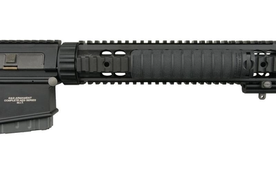 Снайперська гвинтівка G&G GR25 Black