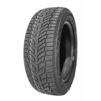 DOUBLESTAR Winterking DW08 155/65R14 75T