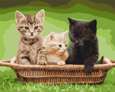 Картина по номерам Котята в корзине (BS52621) Brushme 40x50 см