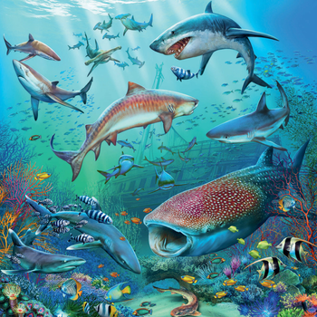 Zestaw puzzli Ravensburger Świat zwierząt oceanu 27 x 19 cm 3 x 49 elementów (4005556051496)