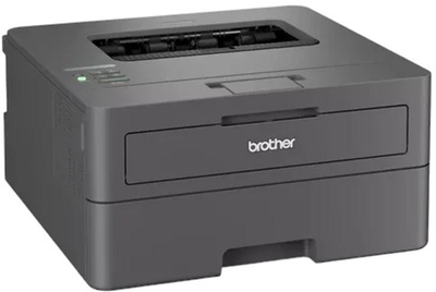 Принтер Brother HL-L2445DW Gray (4977766831079)
