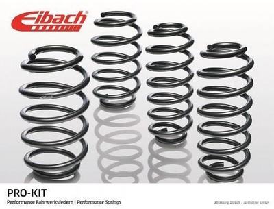Пружины и рессоры EIBACH E10200200222 BMW X1