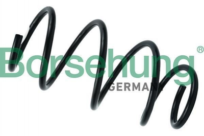 Пружины и рессоры Borsehung B12564 Volkswagen Golf, Passat, Touran; Skoda Octavia, Superb 5Q0411105GL, 5QD411105E