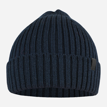 Czapka zimowa męska STING Hat 8H One Size Granatowa (5905999070377)