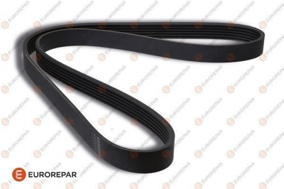 Ремінь приводний EUROREPAR 1606346480 Fiat Punto; Honda Accord, Legend; Toyota Yaris 7K145933R, 7721293, 19230PHM004