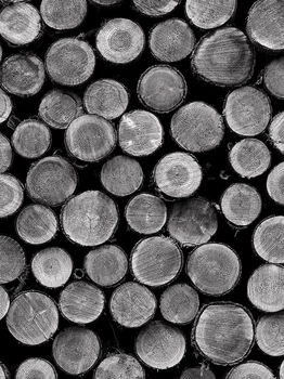 Флизелиновые фотообои на всю стену 184x254 см Черно-белые бревна (2240V4A)+клей